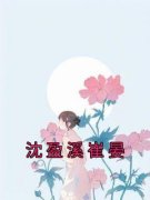 沈盈溪崔晏小说 沈盈溪崔晏沈盈溪