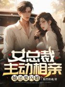《唐枫莫茹》全文免费章节在线试