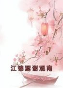 《江锦瑟谢观南》大结局精彩阅读