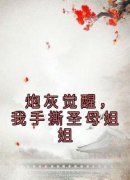 《炮灰觉醒，我手撕圣母姐姐》温