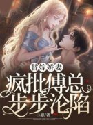 《宋清梨傅斯野》完结版在线试读