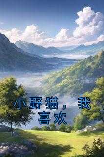 小野猫，我喜欢
