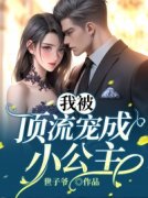 《孟檬白桦》大结局在线试读 《孟