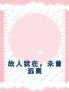 《故人犹在，未曾远离》完结版精