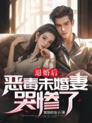 主角是穆磊沈清言的小说 《退婚后
