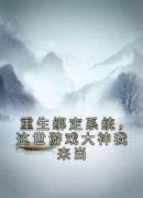 《重生绑定系统，这世游戏大神我