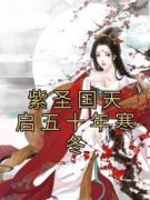紫圣国天启五十年寒冬小说阅读 紫