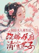 《权臣夫人重生后改嫁侯府清冷世