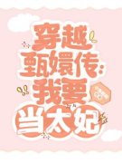 穿越甄嬛传：我要当太妃完整小说