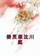 姜灵雁沈川庭免费阅读(姜灵雁沈川