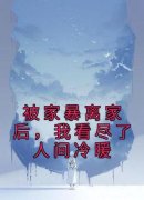 苏妹庆生精彩章节小说目录免费试