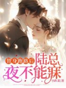 替身跑路后，陆总夜不能寐祁月陆