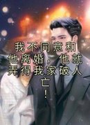 我不同意和他离婚，他就弄得我家