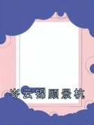 岑云锦顾景杭精彩章节免费试读 岑