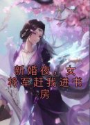 《新婚夜，女将军赶我进书房》小