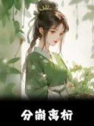 分崩离析 云晚柠林唯安完结版在线