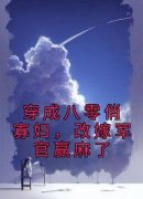 《穿成八零俏寡妇，改嫁军官赢麻