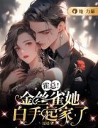 《霍总！金丝雀她白手起家了》小