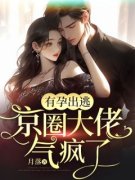 《有孕出逃，京圈大佬气疯了》小