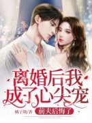 《宋宁棠陆雍深》离婚后我成了心