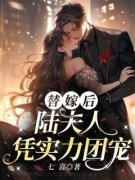 《盛夏陆翊琛》替嫁后，陆夫人凭