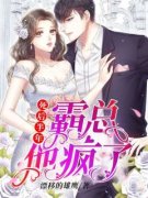 宁枝沈砚行精彩章节小说免费试读