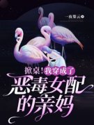 林舒舒苏简行白幼薇全文目录 掀桌