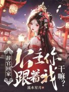 陆玉飞安平小说 辞官回家，公主你