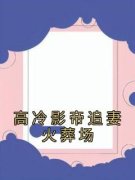 新书《高冷影帝追妻火葬场》小说