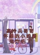 苏凉意陌千宸小说 高冷兵哥哥怀里