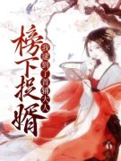 榜下捉婿，我逮到了首辅大人沈燕