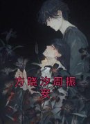 《方晓汐周振安》小说全文免费阅