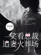 《林念姿顾远》小说章节目录在线
