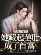 《沈初顾裴煜》替身三年后，她藏