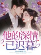 他的深情已迟暮洛瑶沈淮小说精彩