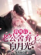 《沈星冉苏奕承》小说章节在线试