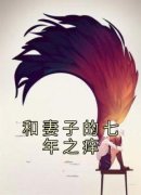《和妻子的七年之痒》小说章节目