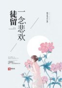 《徒留一念悲欢》小说章节目录免