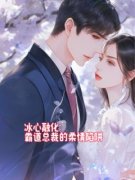 《冰心融化：霸道总裁的柔情陷阱