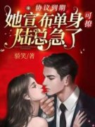 《协议到期，她宣布单身可撩陆总