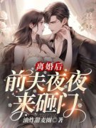 《离婚后，前夫夜夜来砸门》小说