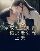 《沈棠秦淮山》小说大结局精彩阅