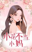 段迟裴心书名叫什么_小花不当小妈