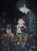 《林峰苏悦安》小说完结版在线试