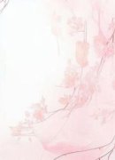 《沈舒情叶逾明》小说全文在线阅