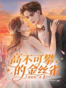 沈年雀雀大结局在线阅读 高不可攀