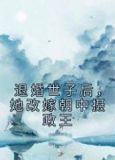 《云千忆卫析巍》小说完结版精彩