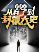丁赫杜白莲官场之从弃子到封疆大