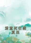 《爱意死在盛夏里》梁夏顾申章节