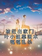 《被赶出家门，叶小姐靠医术嘎嘎